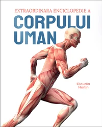 Extraordinara enciclopedie a corpului uman