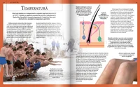 Extraordinara enciclopedie a corpului uman 4