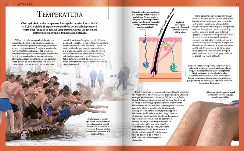 Extraordinara enciclopedie a corpului uman 4