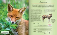 Extraordinara enciclopedie a animalelor 2