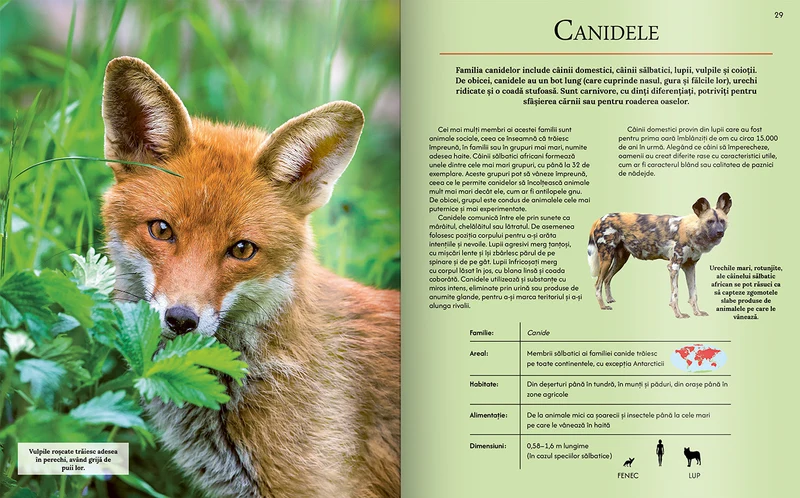 Extraordinara enciclopedie a animalelor 2
