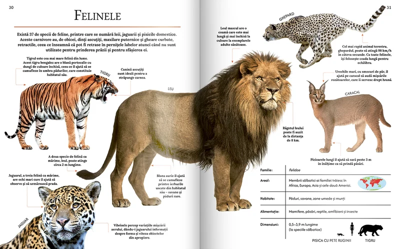 Extraordinara enciclopedie a animalelor 3