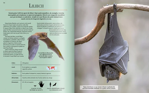 Extraordinara enciclopedie a animalelor