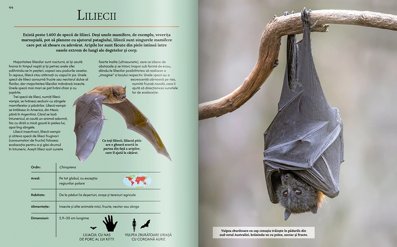 Extraordinara enciclopedie a animalelor 4