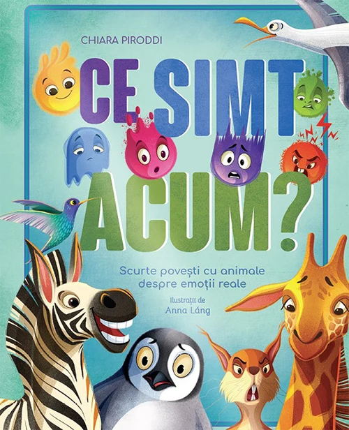 Ce simt acum?