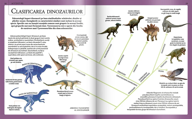 Extraordinara enciclopedie a dinozaurilor 4