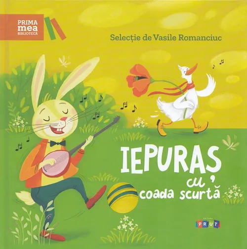 Iepuraș cu coada scurtă