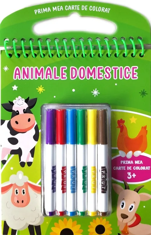 Animale domestice (cu carioci)