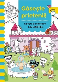 La castel. Carte de activități