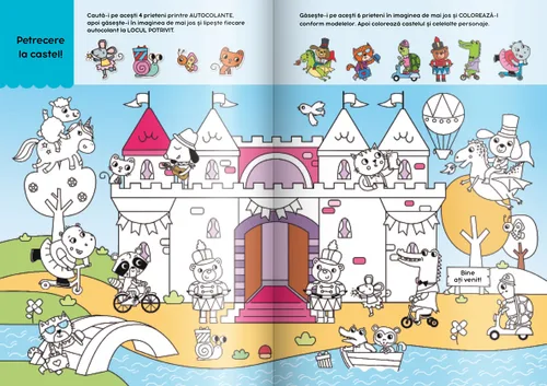 La castel. Carte de activități