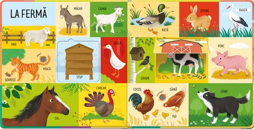 Primele 101 cuvinte cu animale din lumea întreagă