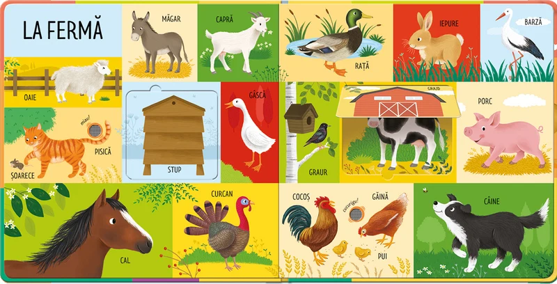 Primele 101 cuvinte cu animale din lumea întreagă 2