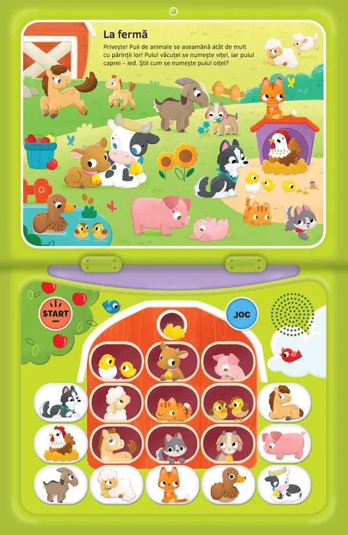 Laptopul magic: Animale