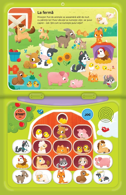Laptopul magic: Animale